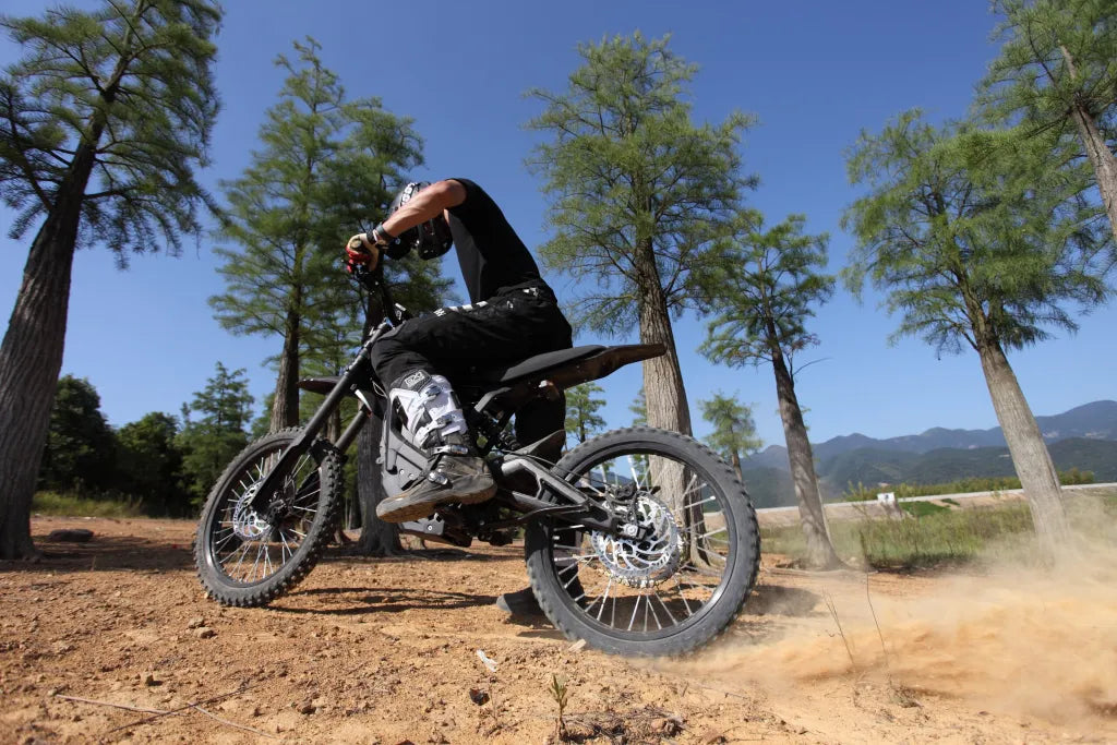 ERIDE PRO-SS 2.0 (19″)