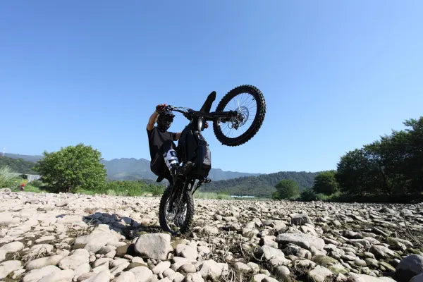 ERIDE PRO-SS 2.0 (19″)